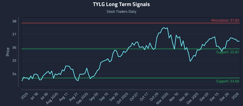 TYLG Long Term Analysis for January 4 2026 TYLG Long Term Analysis for January 4 2026