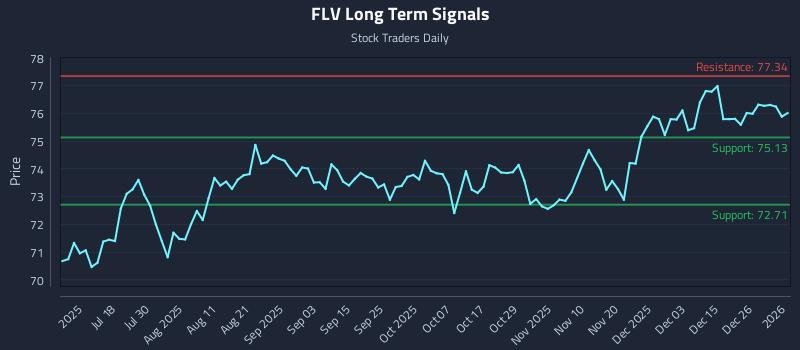 FLV Long Term Analysis for January 4 2026