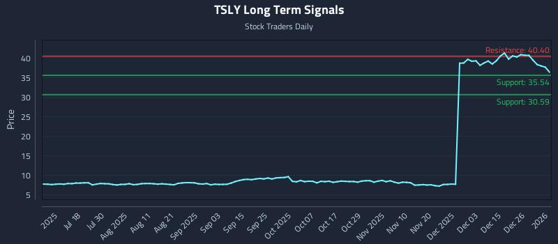 TSLY Long Term Analysis for January 4 2026