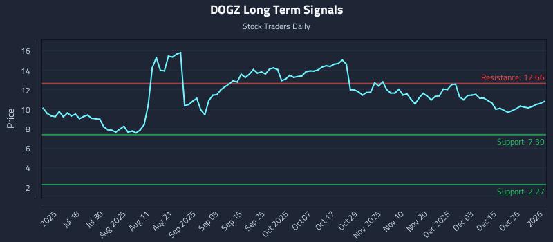 DOGZ Long Term Analysis for January 4 2026