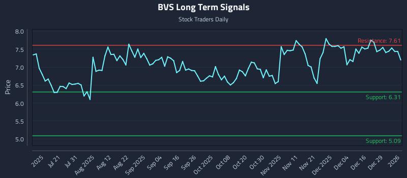 BVS Long Term Analysis for January 5 2026