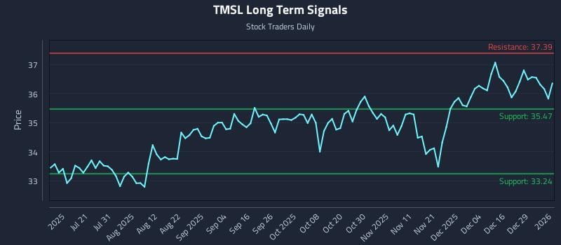 TMSL Long Term Analysis for January 5 2026
