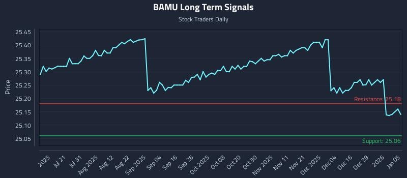 BAMU Long Term Analysis for January 5 2026