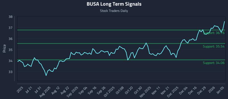 BUSA Long Term Analysis for January 5 2026