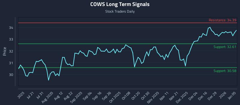 COWS Long Term Analysis for January 5 2026