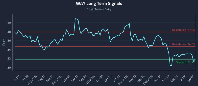 WAY Long Term Analysis for January 6 2026