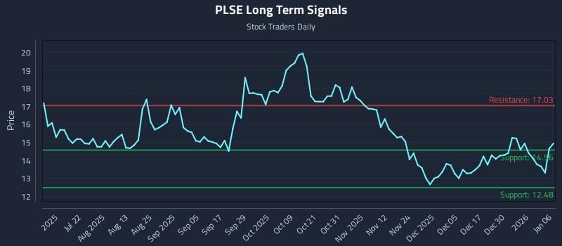 PLSE Long Term Analysis for January 6 2026