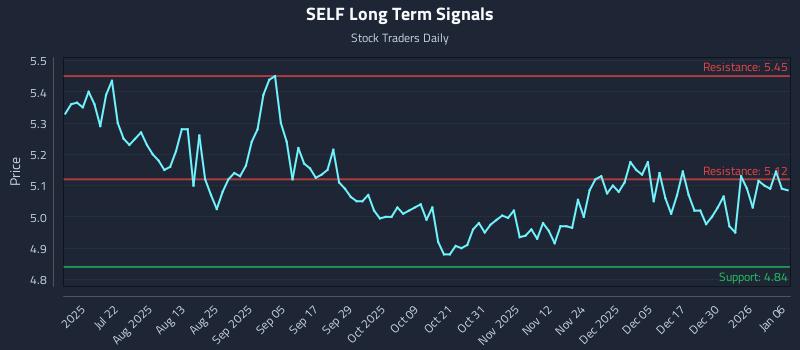SELF Long Term Analysis for January 6 2026