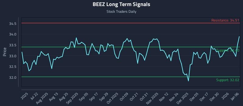 BEEZ Long Term Analysis for January 6 2026