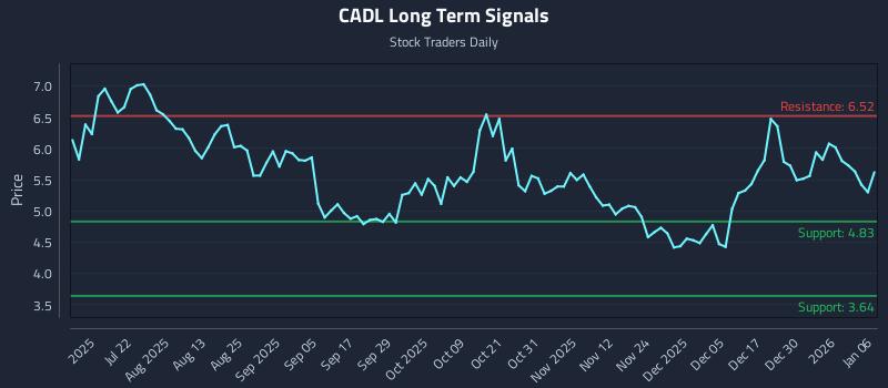 CADL Long Term Analysis for January 6 2026