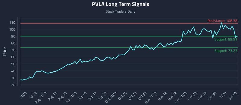 PVLA Long Term Analysis for January 6 2026
