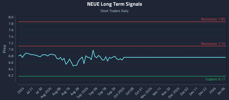 NEUE Long Term Analysis for January 6 2026