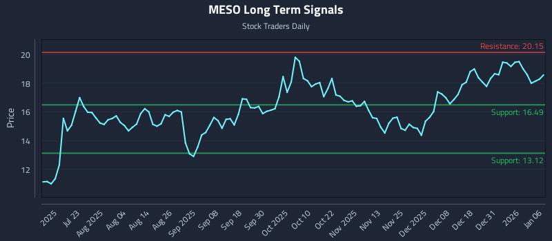 MESO Long Term Analysis for January 7 2026