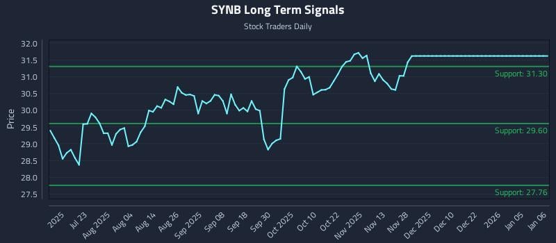 SYNB Long Term Analysis for January 7 2026