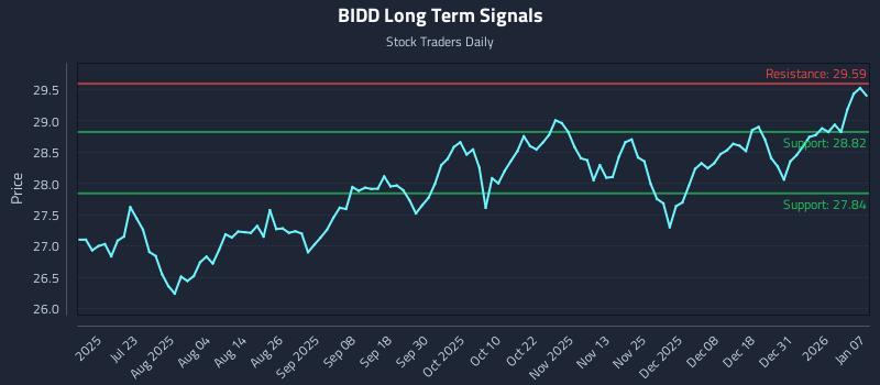 BIDD Long Term Analysis for January 7 2026