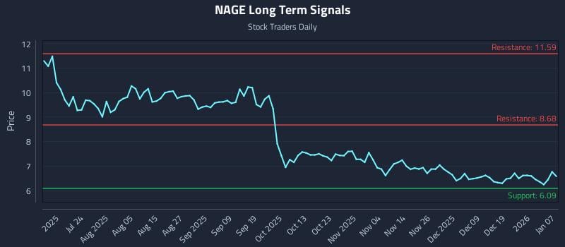 NAGE Long Term Analysis for January 8 2026