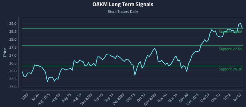 OAKM Long Term Analysis for January 8 2026