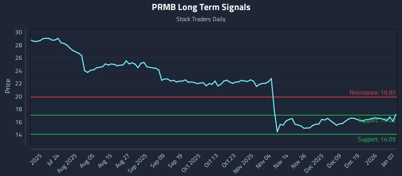 PRMB Long Term Analysis for January 8 2026