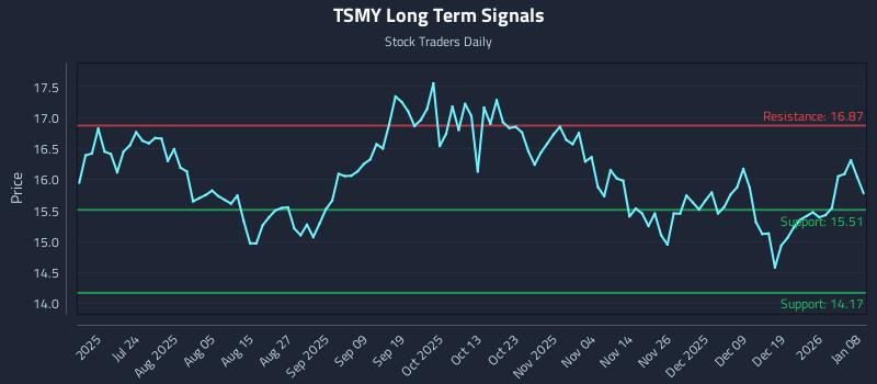 TSMY Long Term Analysis for January 8 2026