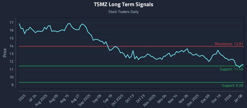 TSMZ Long Term Analysis for January 8 2026