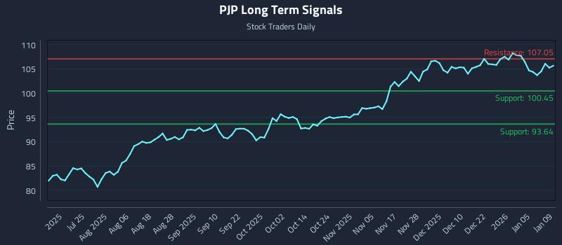 PJP Long Term Analysis for January 9 2026