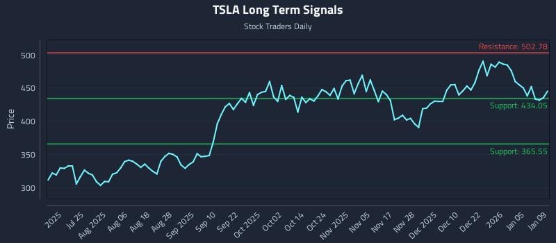 TSLA Long Term Analysis for January 9 2026