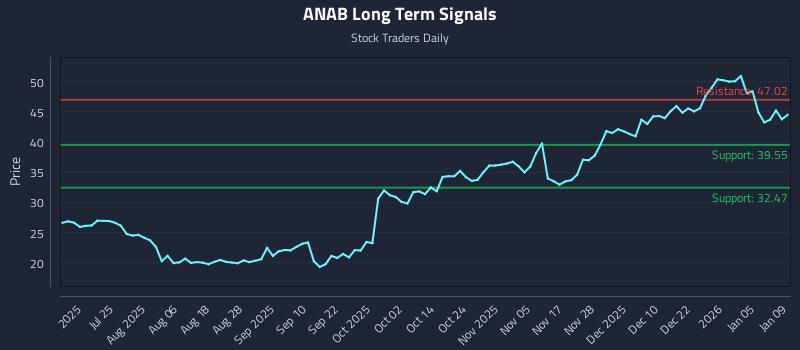 ANAB Long Term Analysis for January 10 2026