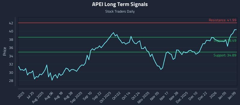 APEI Long Term Analysis for January 10 2026