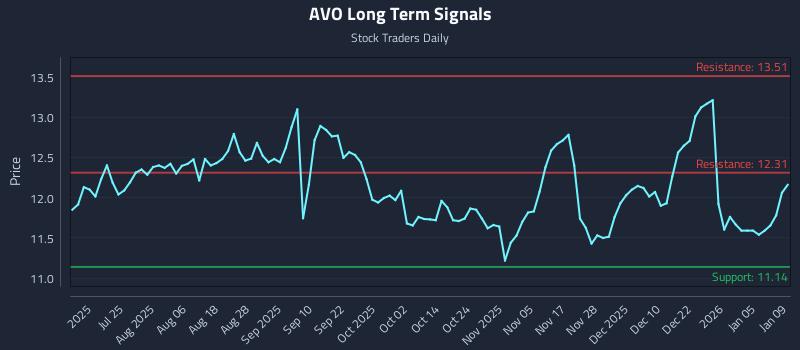 AVO Long Term Analysis for January 10 2026
