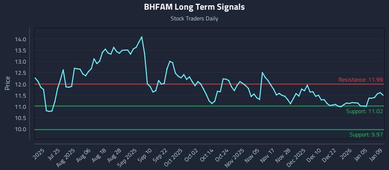 Understanding the Setup: (BHFAM) and Scalable Risk - Stock Traders Daily