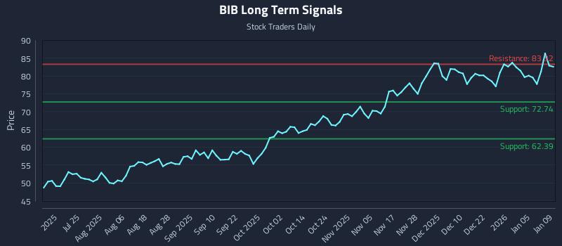 BIB Long Term Analysis for January 10 2026