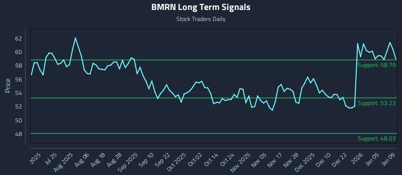 4 News Article Image Why (BMRN) Price Action Is Critical for Tactical Trading