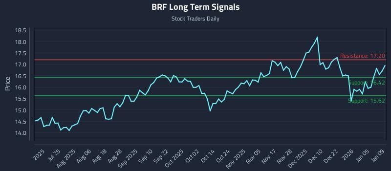 BRF Long Term Analysis for January 10 2026