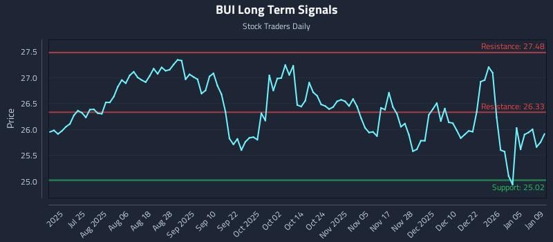 BUI Long Term Analysis for January 10 2026