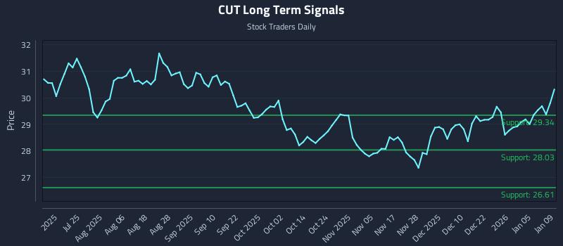 CUT Long Term Analysis for January 10 2026