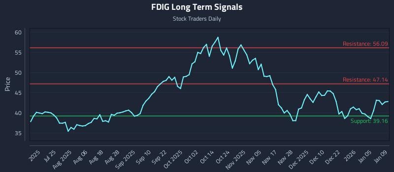 FDIG Long Term Analysis for January 11 2026 FDIG Long Term Analysis for January 11 2026