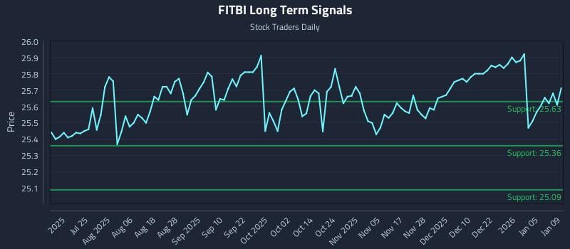 FITBI Long Term Analysis for January 11 2026