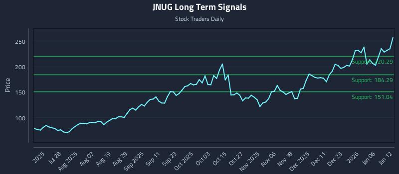 JNUG Long Term Analysis for January 12 2026 JNUG Long Term Analysis for January 12 2026