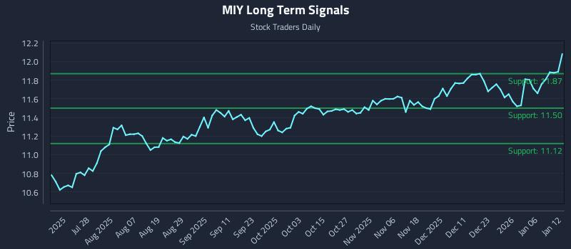 MIY Long Term Analysis for January 12 2026