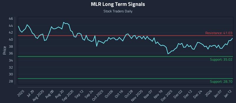 MLR Long Term Analysis for January 13 2026