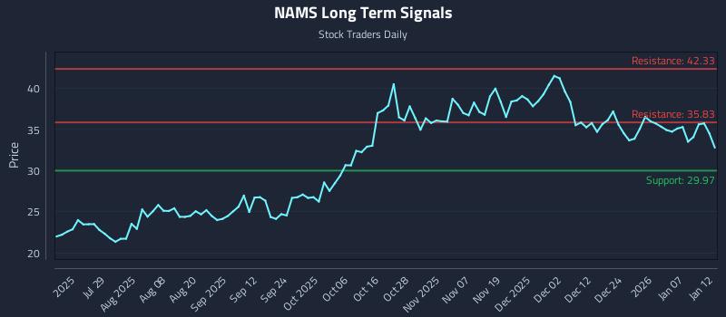 NAMS Long Term Analysis for January 13 2026