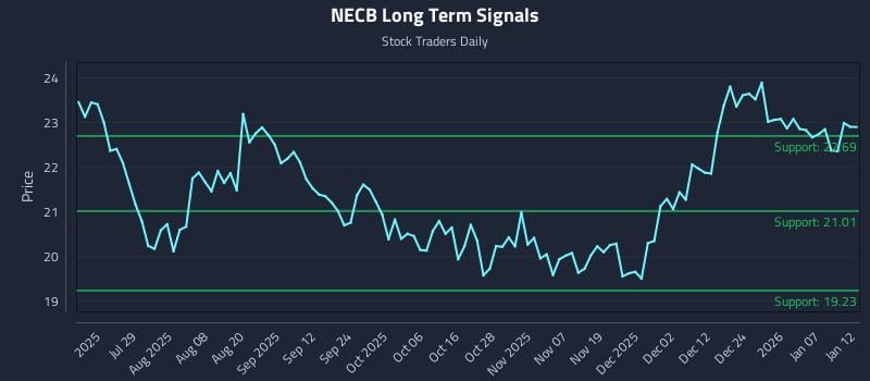 NECB Long Term Analysis for January 13 2026