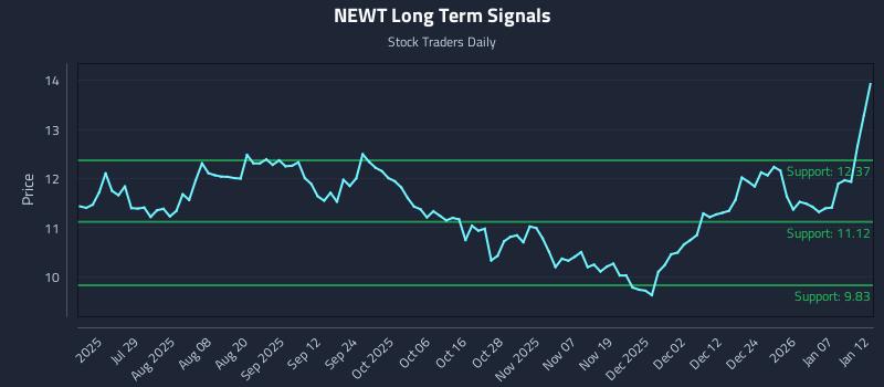 NEWT Long Term Analysis for January 13 2026