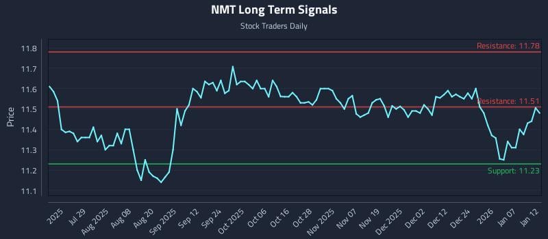NMT Long Term Analysis for January 13 2026
