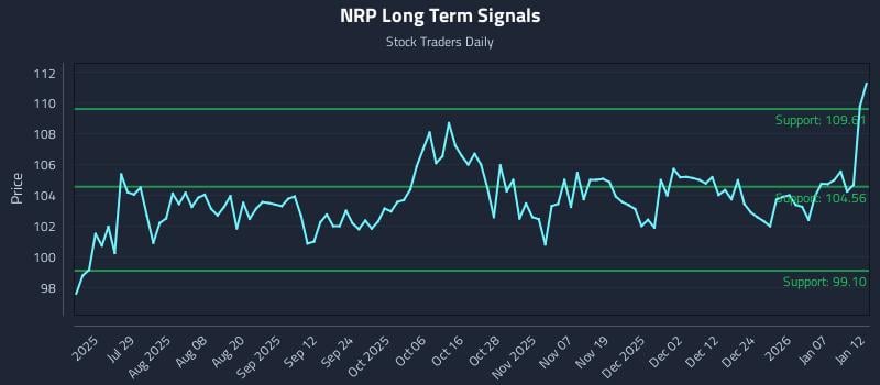 NRP Long Term Analysis for January 13 2026