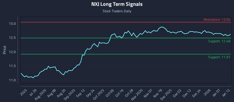 NXJ Long Term Analysis for January 13 2026