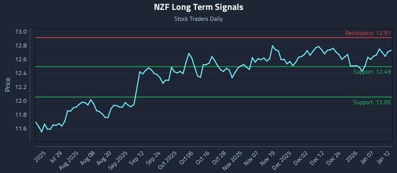 NZF Long Term Analysis for January 13 2026