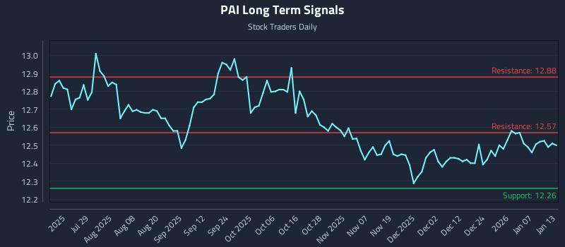 PAI Long Term Analysis for January 13 2026