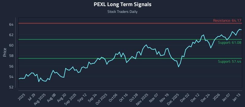 PEXL Long Term Analysis for January 13 2026