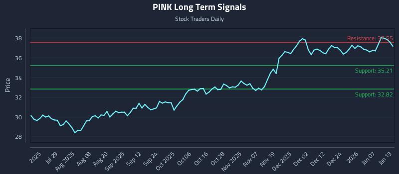 PINK Long Term Analysis for January 13 2026